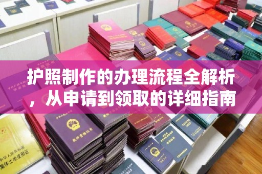 南岸护照制作的办理流程全解析，从申请到领取的详细指南
